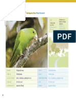 35 Pdfsam Guia de Aves Mataatlantica Wwfbrasil PDF