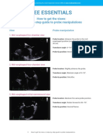 Fact Sheet 00 - Probe Manipulations