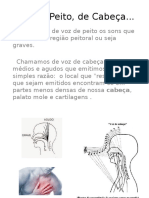 Curiosidade&Conhecimento 2017