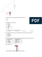 1.1 Excretory System