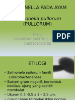 Salmonella Pullorum