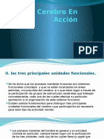 piscofisiologia -El-Cerebro-En-Acción..pptx