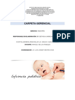 Carpeta Gerencial Pediatria