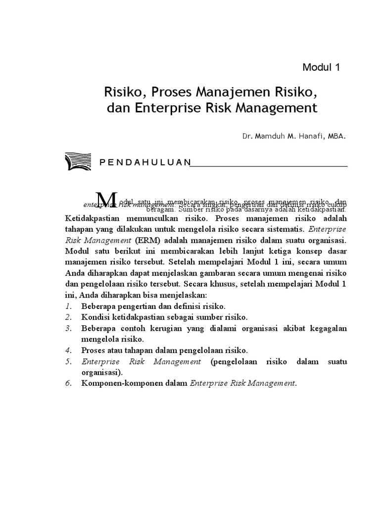 Risiko, Proses Manajemen Risiko,