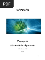 Xamanismo - Encontro 6 - V1