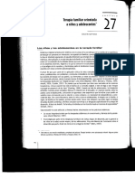 Terapia Familiar Oreintada a Niños y Adolescentes (E Carrasco)