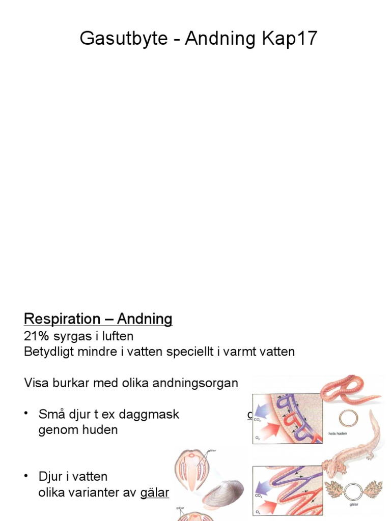 Kap 14 Andning | PDF