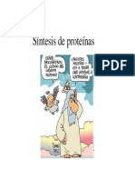 Sistesis de Proteinas PDF