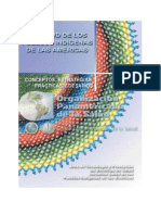 53 SPI Conceptos Estrategias PDF