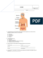 EXAMEN Hormonas