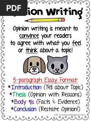 opinion writing