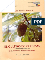 Cultivo de Copoazu