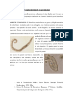 Enterobiosis o Oxiurosis: Guía completa sobre la infección por Enterobius vermicularis