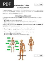 Guia Sistema Locomotor
