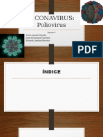 Poliovirus Equipo5