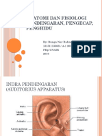 Anatomi Dan Fisiologi Pendengaran Penghidu Pengecap