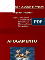 Afogamento e Choque Eletrico - Seminario