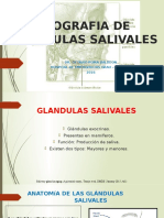 Ecografia de Glandulas Salivales 