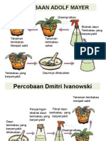 Percobaan Adolf Mayer Dan Dmitri