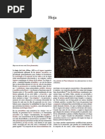 Hoja
