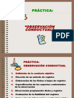 Fichas de observción