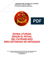 13 03 11 Divinaliturgiasantiago PDF