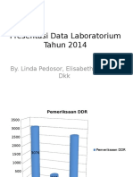 Presentation1 Lab