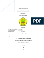 ANALISIS AMPISILIN