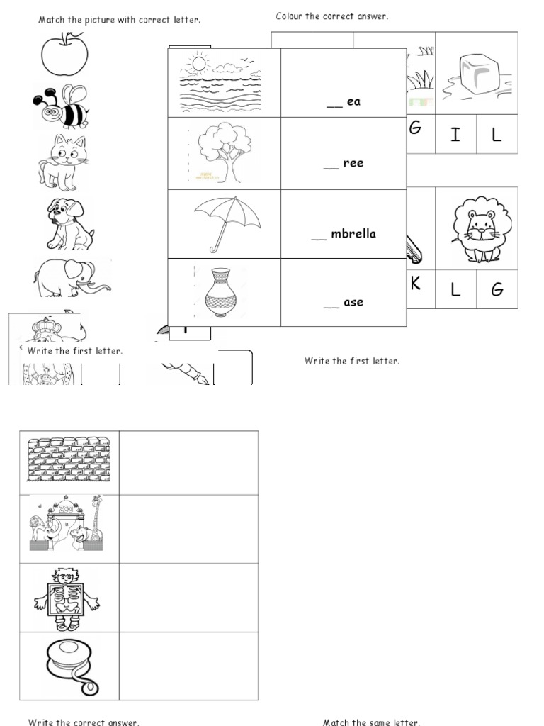 Letter Matching and Coloring Activity | PDF
