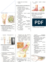 Leaflet Osteomielitis