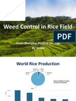 Weed Control in Rice