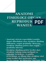 Anatomi Organ Reproduksi Wanita