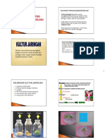 6 Kulturjaringan PDF