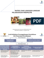 Kebijakan Strategi Langkah Pelaksanaan PIE PKKPM 2015