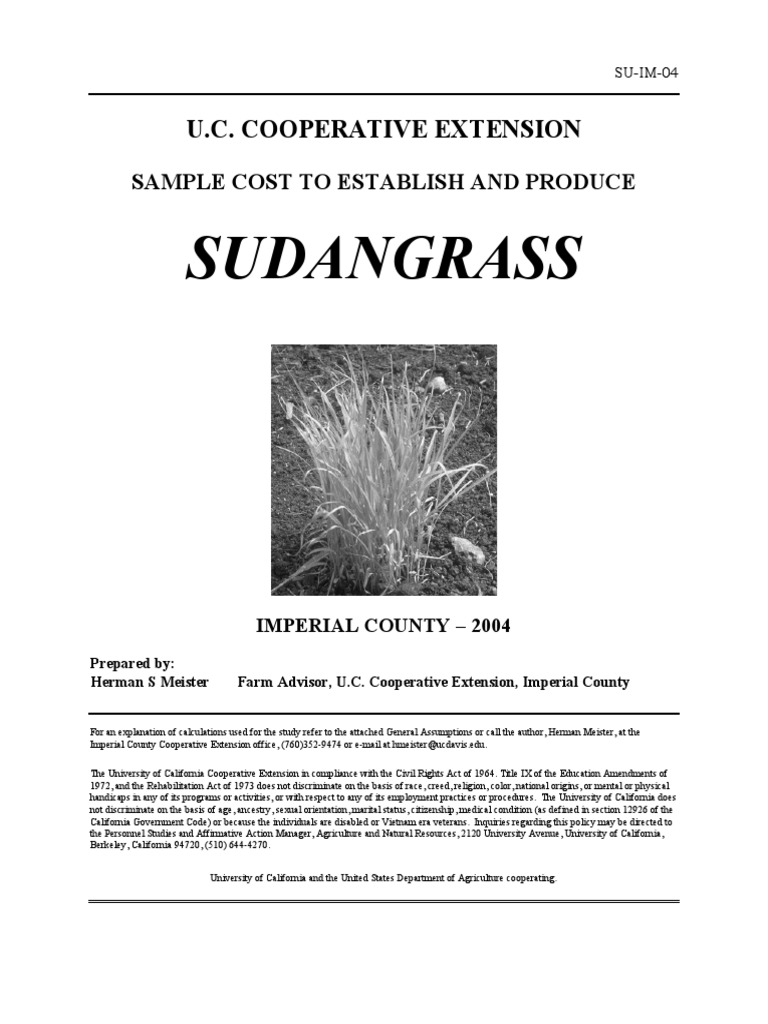 Sudan Grass 04 PDF Hay Soil
