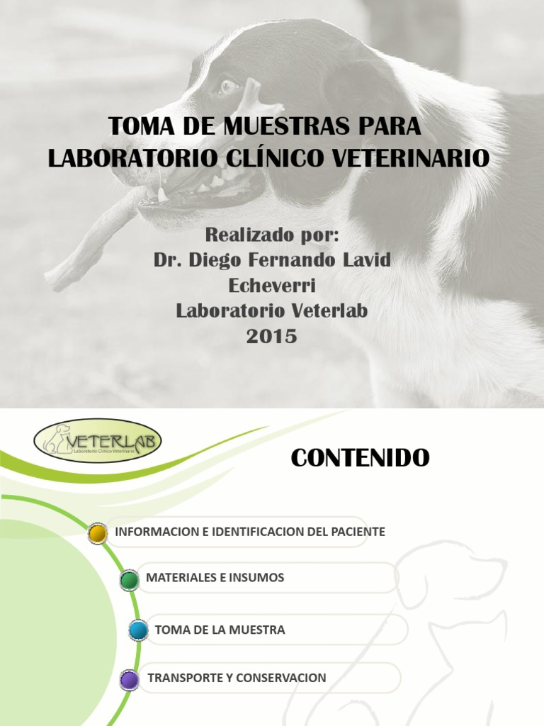 Manual 1 Toma de Muestras Veterlab Subir | PDF | Medicina CLINICA ...