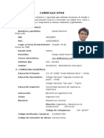 Curriculum Vitae Ingeniero Civil