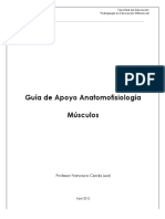 Guía de Apoyo - MUSCULOS.pdf