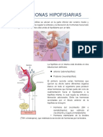 Hormonas Hipofisiarias 