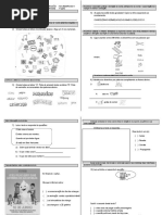 Simulado de Avaliac3a7c3a3o Diagnc3b3stica 2c2ba Ano Lp 21