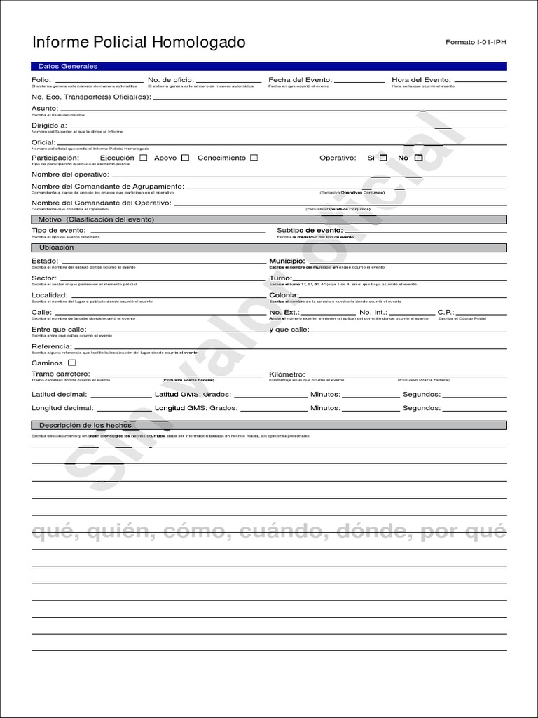 Formato IPH Editable 2024 | PDF | Placa de matrícula del vehículo | Pista