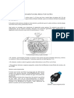 Fundamentos Del Riego Por Goteo