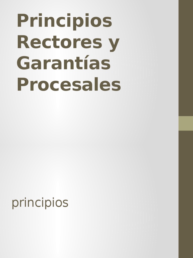 Principios y Garantías en el Proceso Penal | PDF | Derecho penal | Ley ...