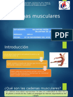 Cadenas Musculares