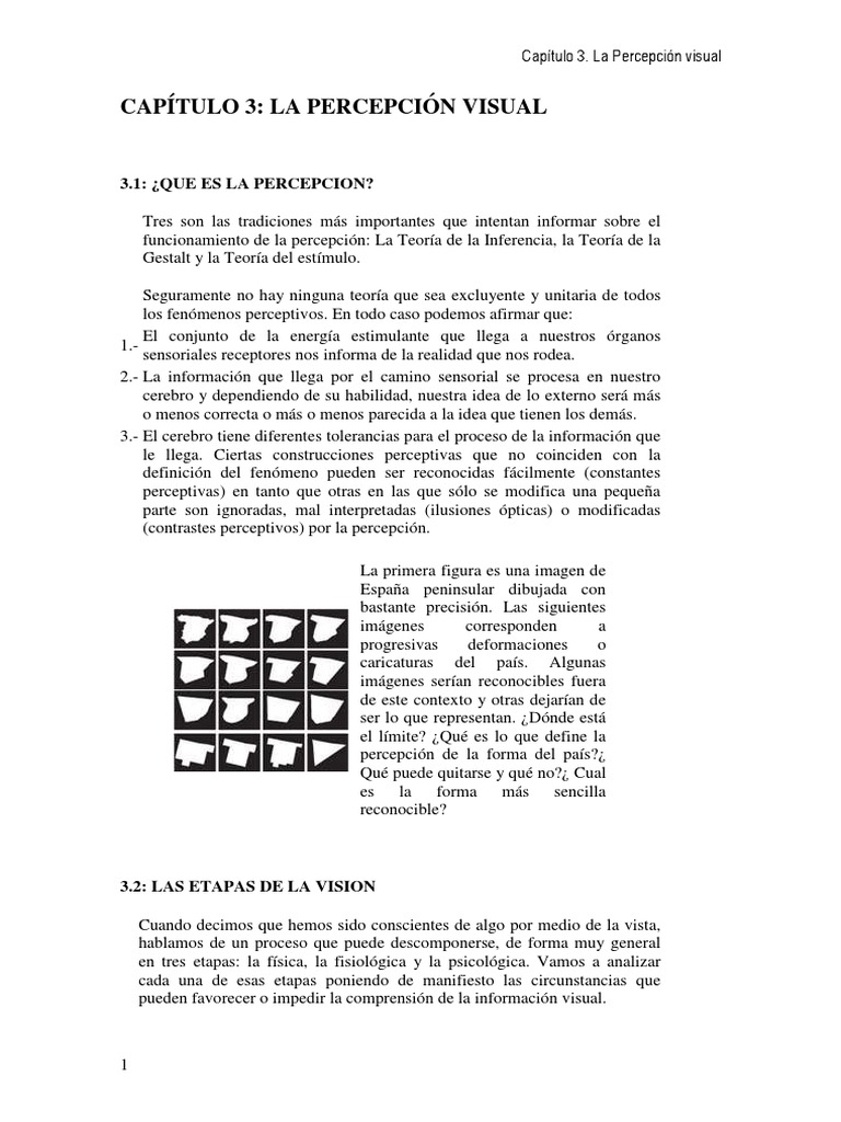Capitulo 3 La Percepcion Visual Parte1 Pdf Percepción Visual