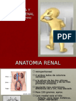 Fisiologia y Anatomia Renal