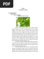 Download not important by aozorakuran SN341806126 doc pdf