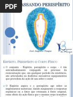 devassandooperispirito-130525205244-phpapp01