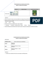 Informe 3 Morfología Vegetal