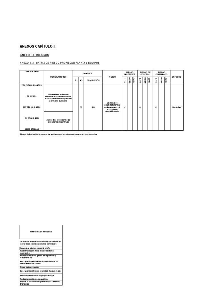 Matrices de Riesgo y Plan de Auditoría | PDF | Valoración empresarial ...